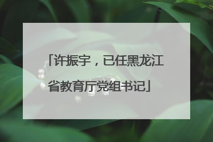 许振宇，已任黑龙江省教育厅党组书记
