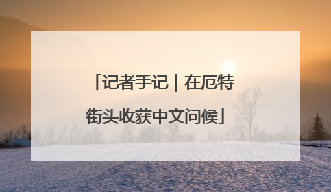 记者手记｜在厄特街头收获中文问候