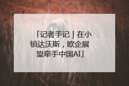 记者手记｜在小镇达沃斯，欧企展望牵手中国AI