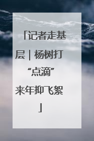 记者走基层｜杨树打“点滴” 来年抑飞絮