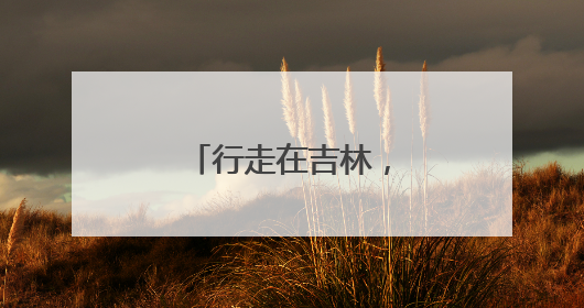 行走在吉林，追寻陈云同志留下的历史足迹