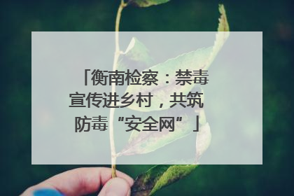 衡南检察：禁毒宣传进乡村，共筑防毒“安全网”