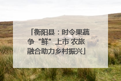 衡阳县：时令果蔬争“鲜”上市 农旅融合助力乡村振兴