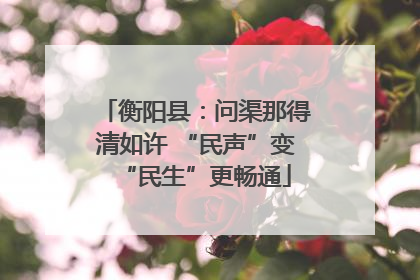 衡阳县：问渠那得清如许 “民声”变“民生”更畅通