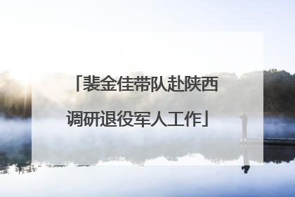 裴金佳带队赴陕西调研退役军人工作