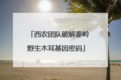 西农团队破解秦岭野生木耳基因密码