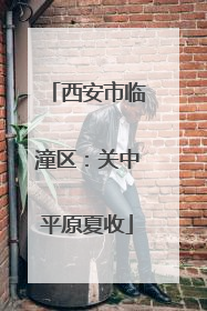 西安市临潼区：关中平原夏收