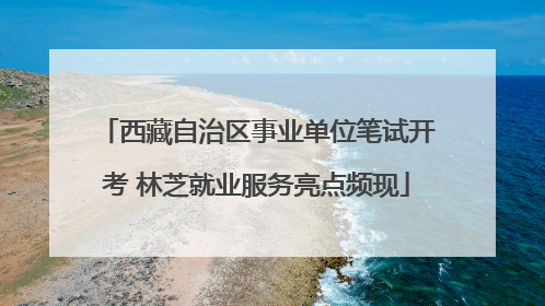 西藏自治区事业单位笔试开考 林芝就业服务亮点频现