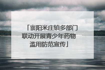 襄阳米庄镇多部门联动开展青少年药物滥用防范宣传