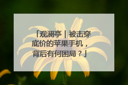 观澜亭｜被击穿底价的苹果手机，背后有何困局？