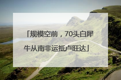 规模空前，70头白犀牛从南非运抵卢旺达