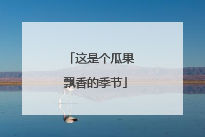 这是个瓜果飘香的季节