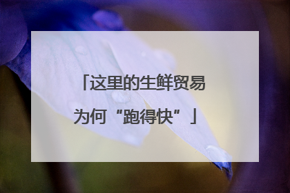 这里的生鲜贸易为何“跑得快”