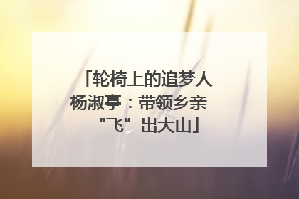 轮椅上的追梦人杨淑亭：带领乡亲“飞”出大山