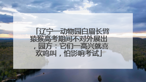 辽宁一动物园白眉长臂猿猴高考期间不对外展出，园方：它们一高兴就喜欢鸣叫，怕影响考试