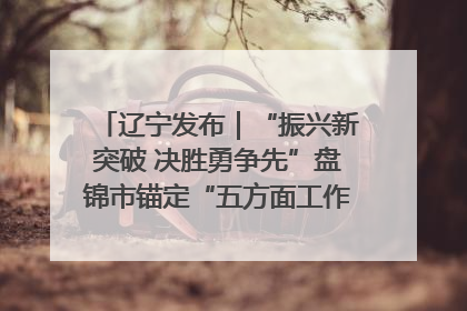 辽宁发布｜“振兴新突破 决胜勇争先”盘锦市锚定“五方面工作”力争全年地区生产总值增长5.5%左右