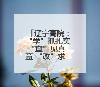 辽宁高院：“学”抓扎实 “查”见真章 “改”求实效