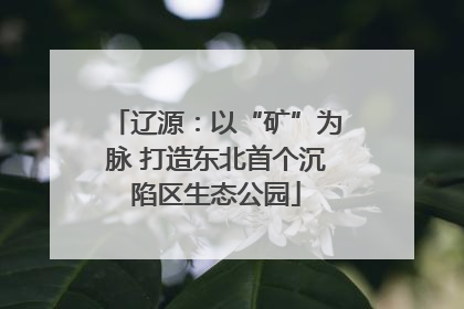 辽源：以“矿”为脉 打造东北首个沉陷区生态公园