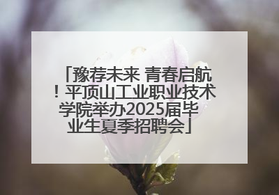 豫荐未来 青春启航！平顶山工业职业技术学院举办2025届毕业生夏季招聘会