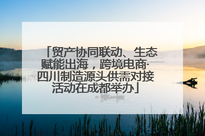 贸产协同联动、生态赋能出海，跨境电商·四川制造源头供需对接活动在成都举办