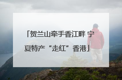 贺兰山牵手香江畔 宁夏特产“走红”香港