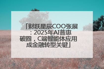 财跃星辰COO张展：2025年AI普惠破圈，C端智能体应用成金融转型关键