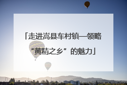 走进嵩县车村镇—领略“黄精之乡”的魅力