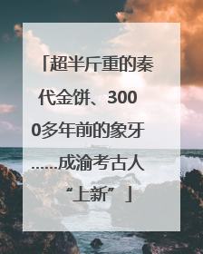 超半斤重的秦代金饼、3000多年前的象牙……成渝考古人“上新”