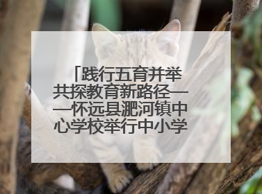 践行五育并举 共探教育新路径——怀远县淝河镇中心学校举行中小学、幼儿园班主任论坛活动
