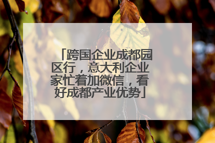 跨国企业成都园区行，意大利企业家忙着加微信，看好成都产业优势