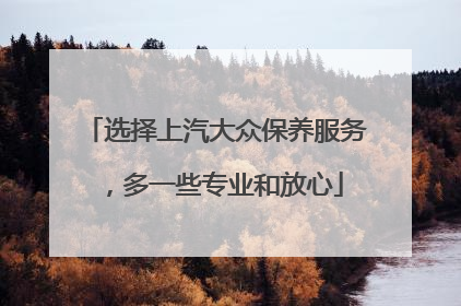 选择上汽大众保养服务，多一些专业和放心