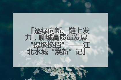 逐绿向新、链上发力，聊城高质量发展“提级换挡”——江北水城“焕新”记
