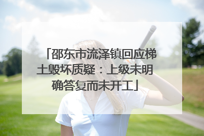邵东市流泽镇回应梯土毁坏质疑：上级未明确答复而未开工