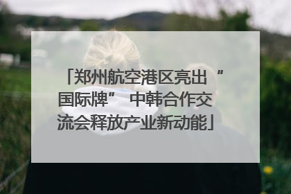 郑州航空港区亮出“国际牌” 中韩合作交流会释放产业新动能