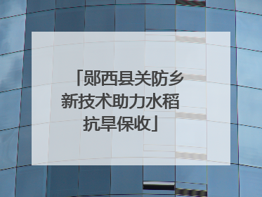 郧西县关防乡新技术助力水稻抗旱保收