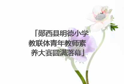 郧西县明德小学教联体青年教师素养大赛圆满落幕