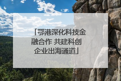 鄂港深化科技金融合作 共建科创企业出海通道