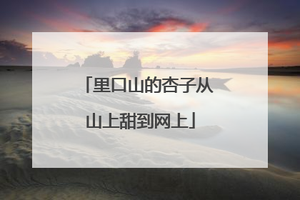 里口山的杏子从山上甜到网上