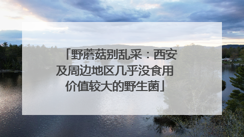 野蘑菇别乱采：西安及周边地区几乎没食用价值较大的野生菌