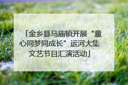 金乡县马庙镇开展“童心同梦同成长”运河大集文艺节目汇演活动