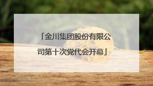 金川集团股份有限公司第十次党代会开幕