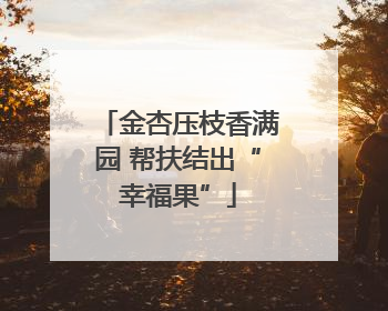 金杏压枝香满园 帮扶结出“幸福果”