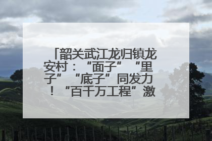 韶关武江龙归镇龙安村：“面子”“里子”“底子”同发力！“百千万工程”激活乡村新动能
