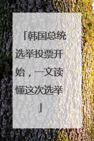 韩国总统选举投票开始，一文读懂这次选举