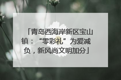 青岛西海岸新区宝山镇：“零彩礼”为爱减负，新风尚文明加分