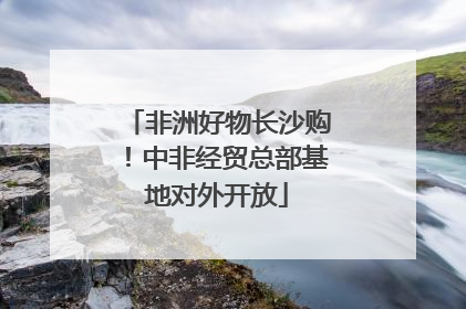 非洲好物长沙购！中非经贸总部基地对外开放
