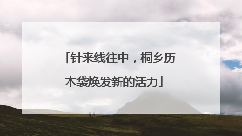 针来线往中，桐乡历本袋焕发新的活力
