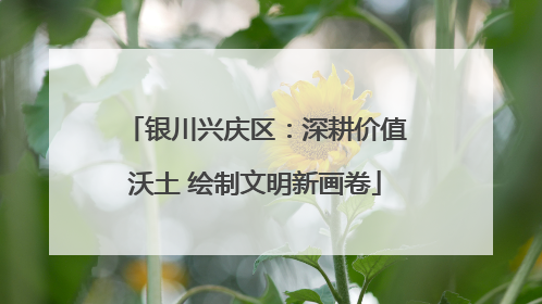 银川兴庆区：深耕价值沃土 绘制文明新画卷