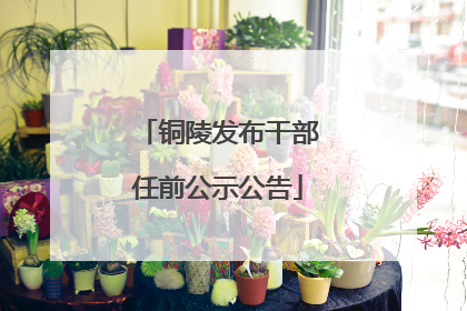 铜陵发布干部任前公示公告
