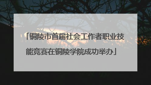 铜陵市首届社会工作者职业技能竞赛在铜陵学院成功举办